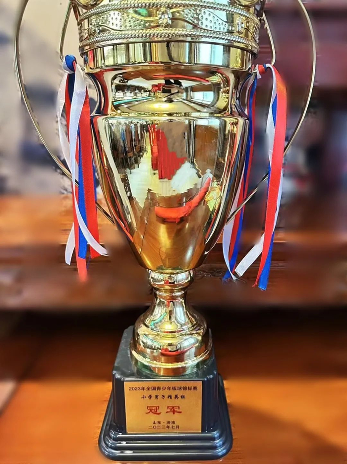 陇右雷霆队鏖战中原金雕队，板球公开赛失利，核心复出即建功。韧性与执行并存的简单介绍